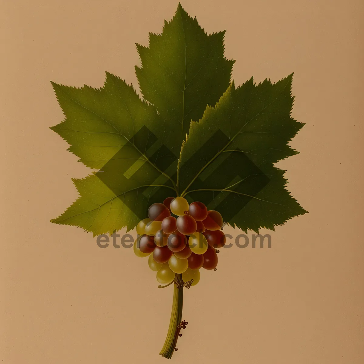 Picture of Festive Holly and Berry Branch