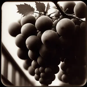 Fresh Fruit Basket with Vitamin-Rich Grapes