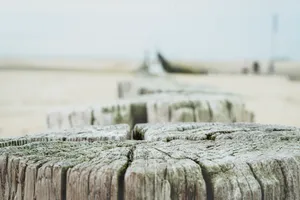 Stone Radiator Device Mechanism Image