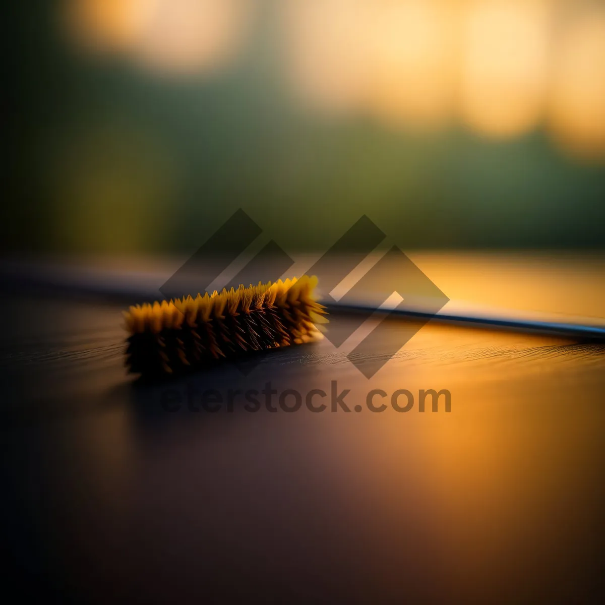 Picture of Golden Sunset Bristle Brush with Sunlight