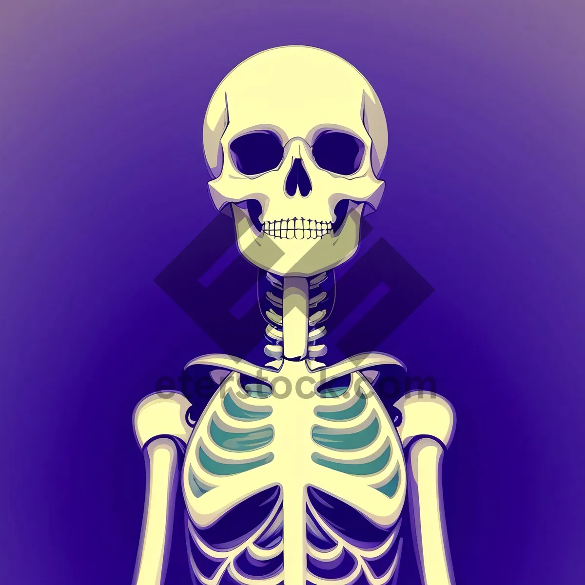 Picture of Anatomical Bone Skeleton - Medical Cartoon Illustration