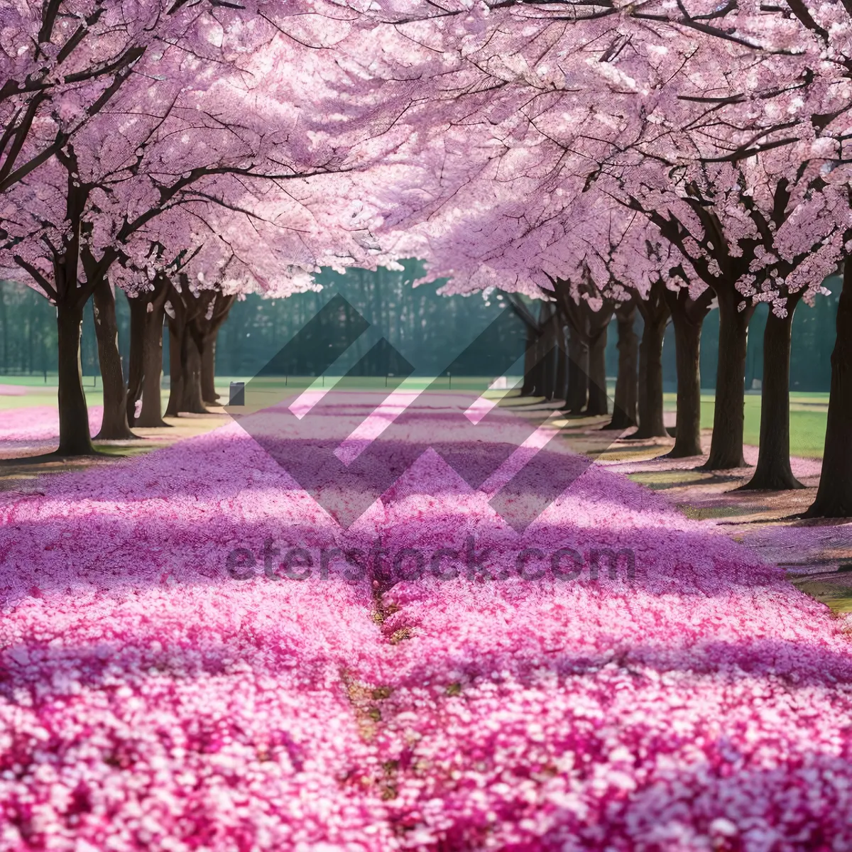 Picture of Vibrant Blooms in Lush Garden