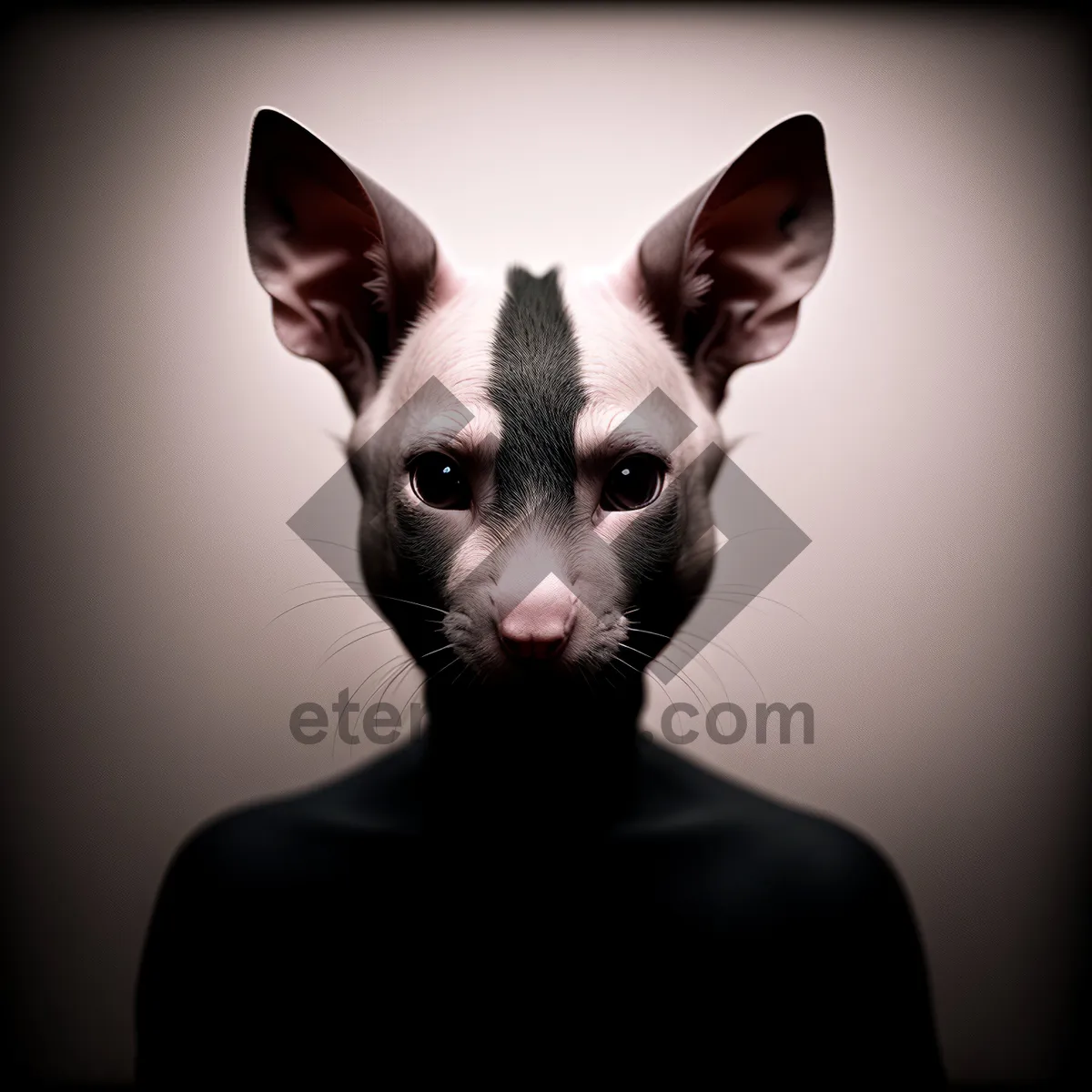 Picture of Adorable black cat with piercing eyes