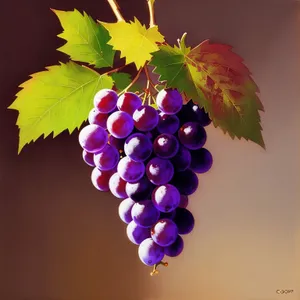 Autumn Harvest: Juicy Purple Grape Cluster