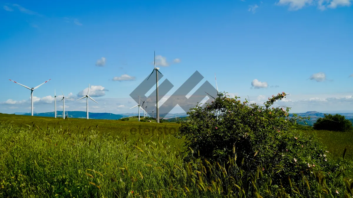 Picture of Wind Turbine in Rural Landscape Generating Renewable Energy