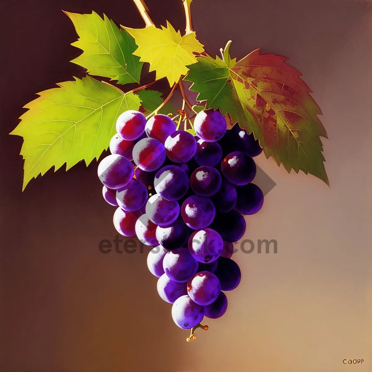 Picture of Autumn Harvest: Juicy Purple Grape Cluster