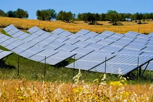 Solar panel on grassy rooftop under sunny sky.