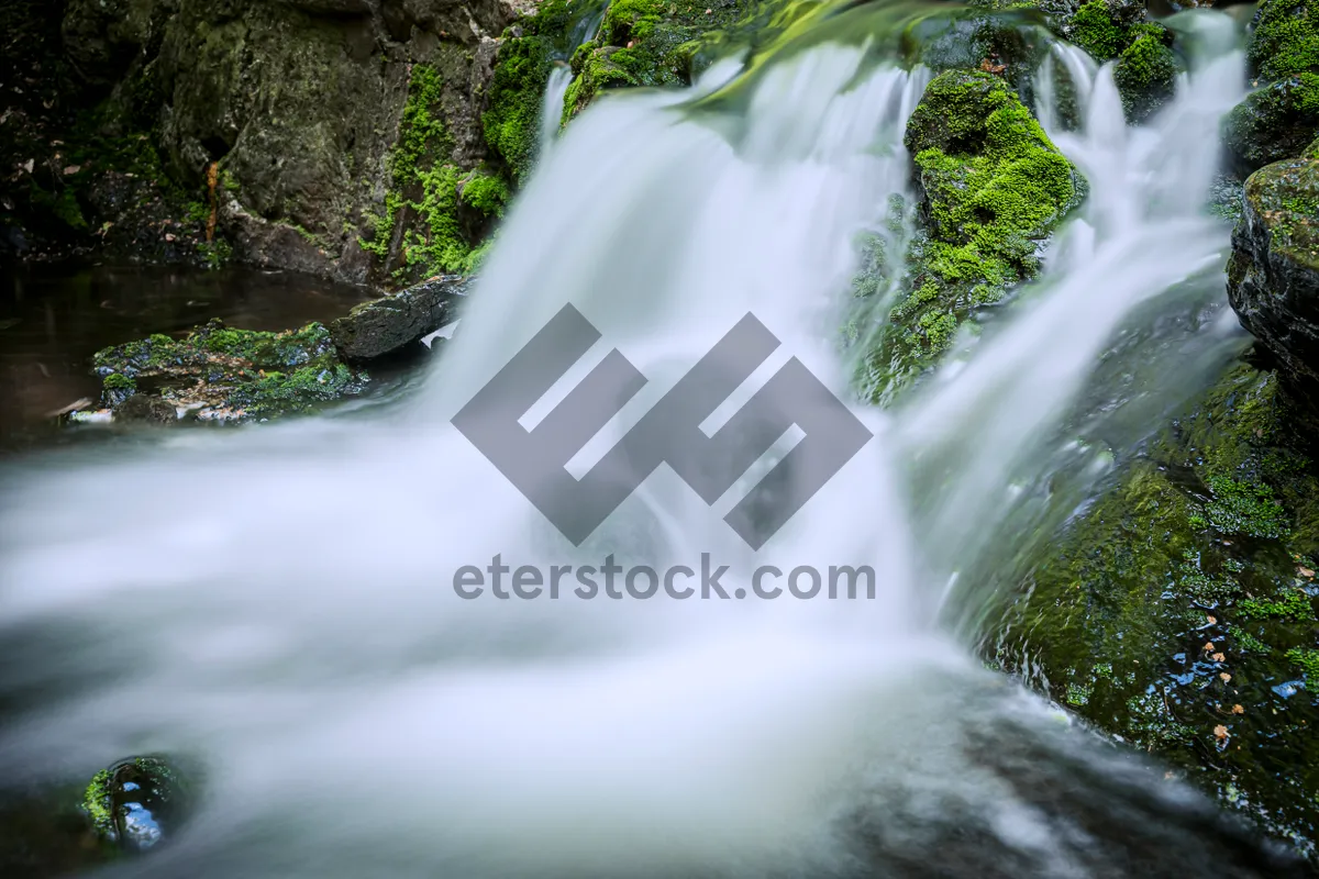 Picture of Mountain river flowing through serene natural landscape"

or

"Peaceful waterfall cascading in the forest