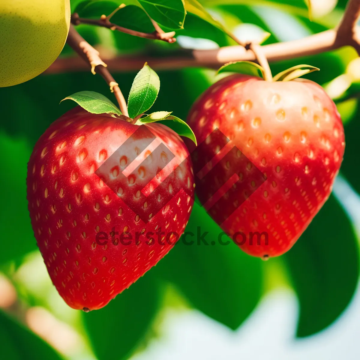 Picture of Sweet and Juicy Strawberry Delight