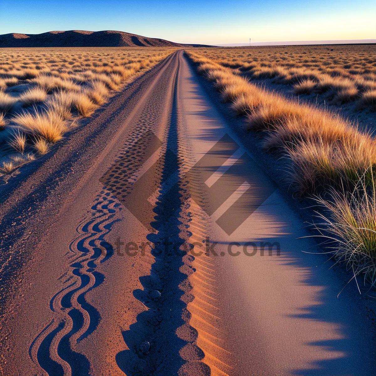 Picture of Rural Road Through Scenic Countryside