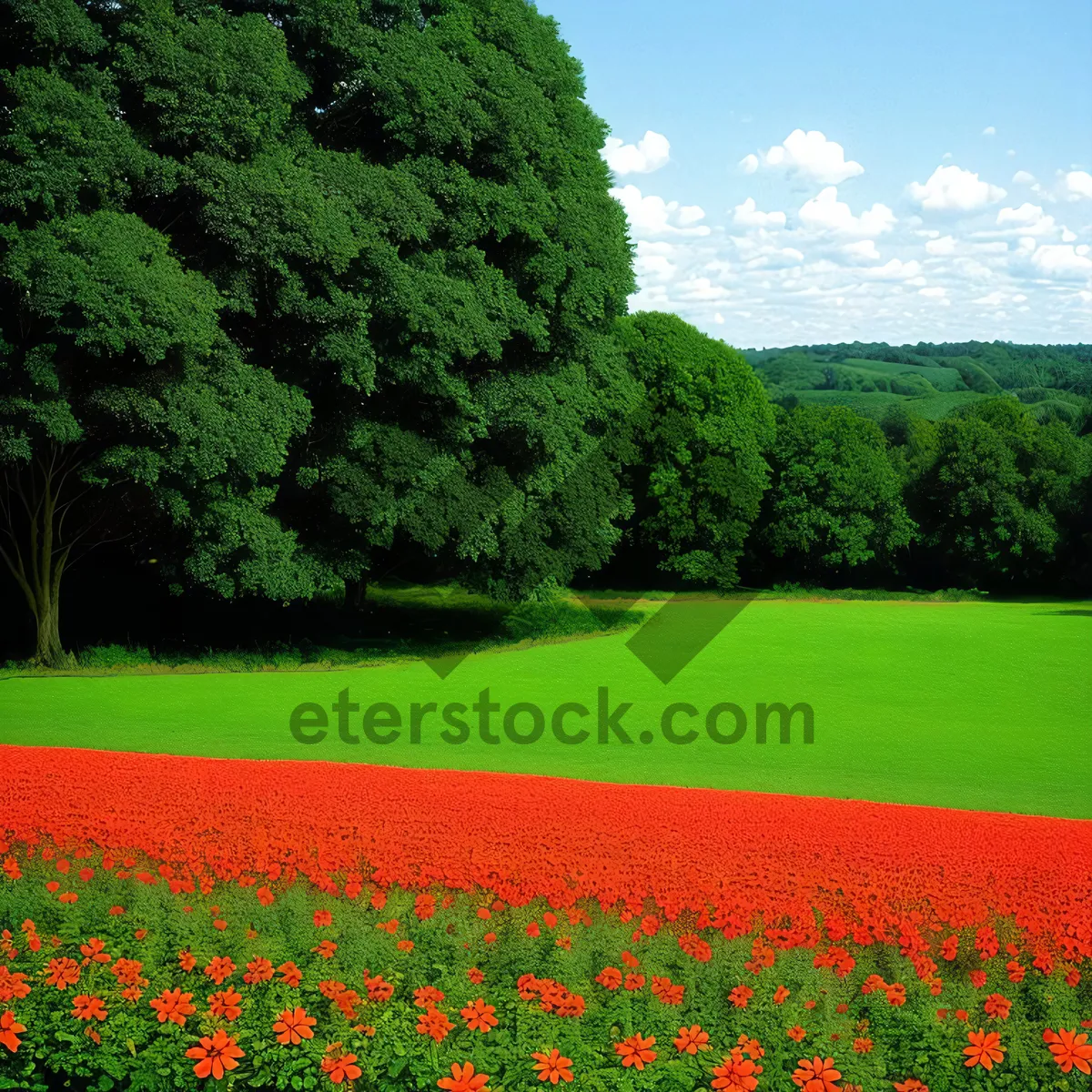 Picture of Serene Summer Meadow with Rolling Hills