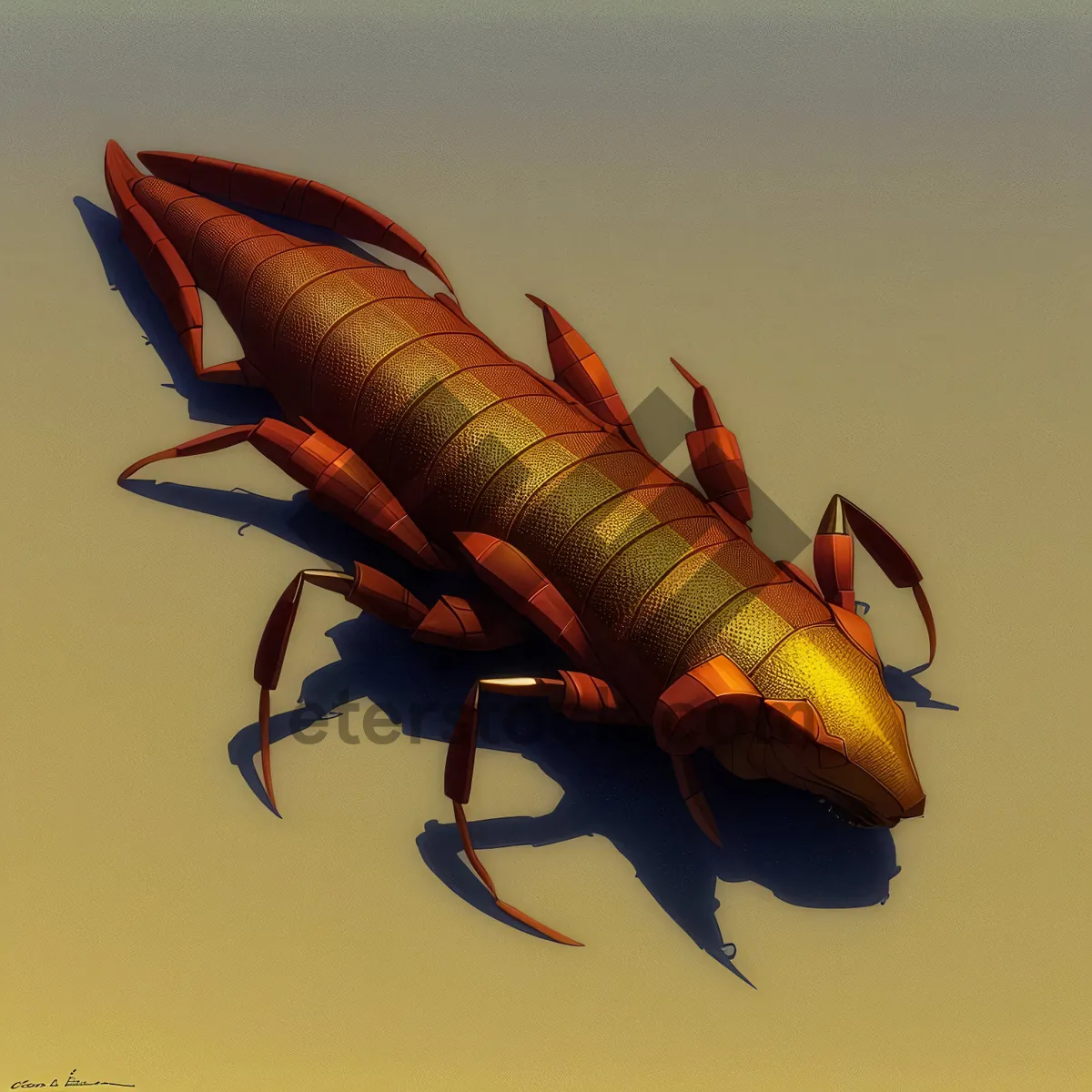 Picture of Earwig: Tiny Arthropod with Crustacean-like Appearance