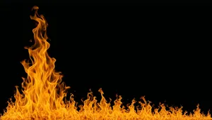 Fiery sunflower wallpaper design with black texture.