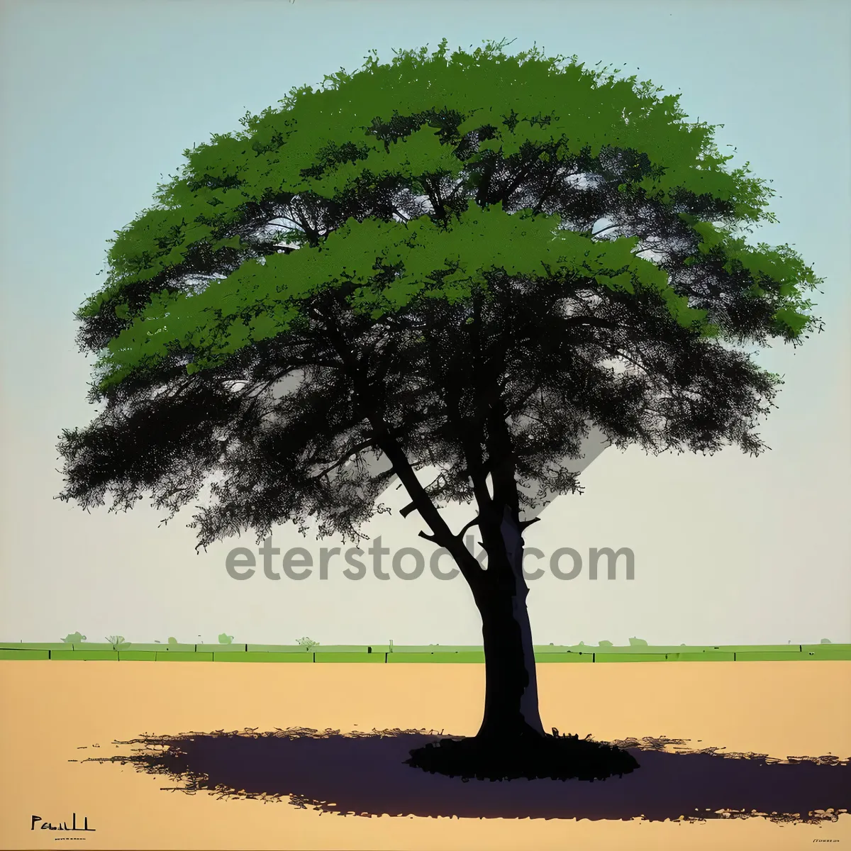 Picture of Solitary Oak in Summer Landscape