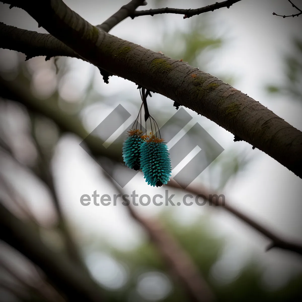 Picture of Nature's Bounty: Acorn Necklace on Thimble