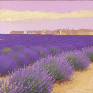 Purple Lavender Blooms Amidst Picturesque Rural Landscape