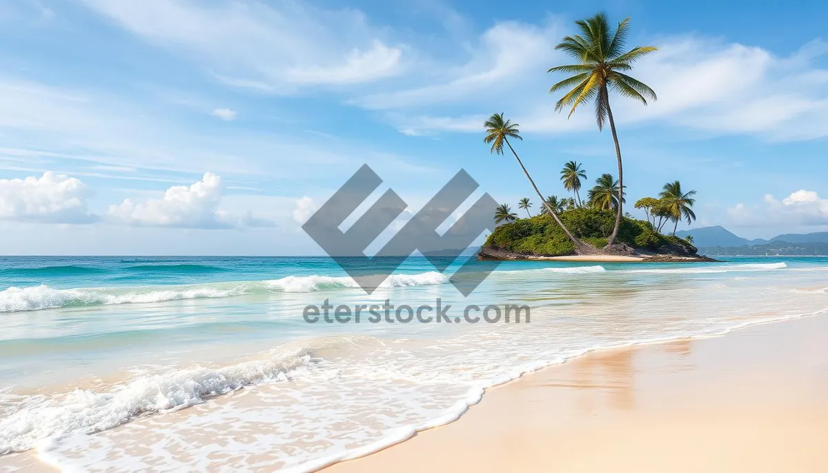 Picture of Tropical paradise with palm trees and turquoise water.