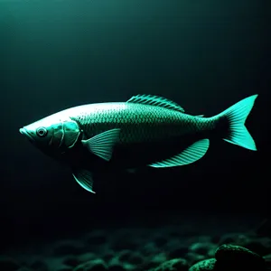 Underwater Coral Reef with Colorful Marine Life