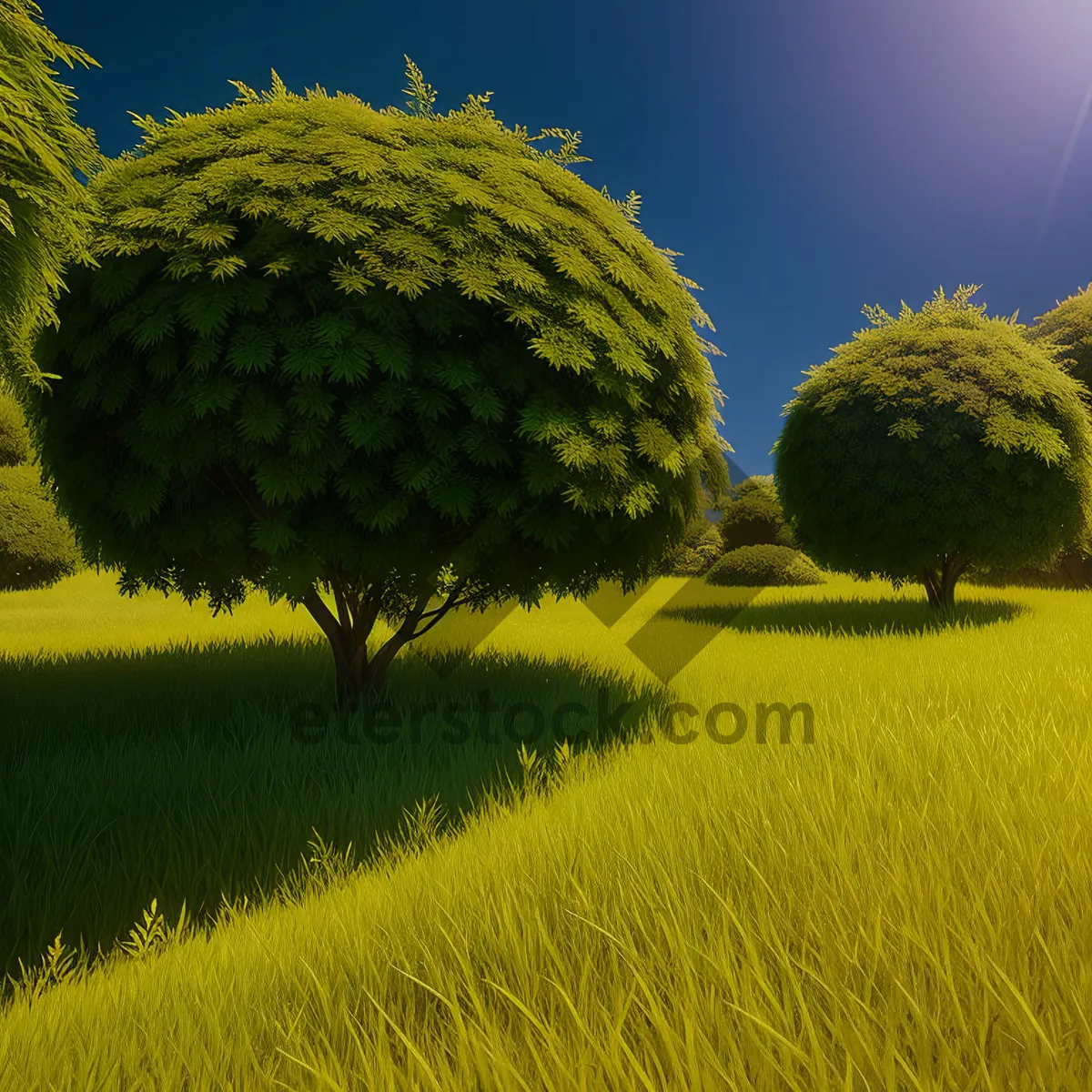 Picture of Serene Summer Hillside with Vibrant Rapeseed Field