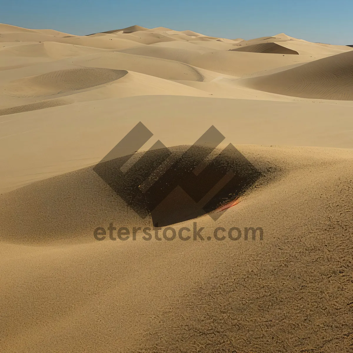 Picture of Vibrant Desert Dunes Under Morocco's Sunny Sky