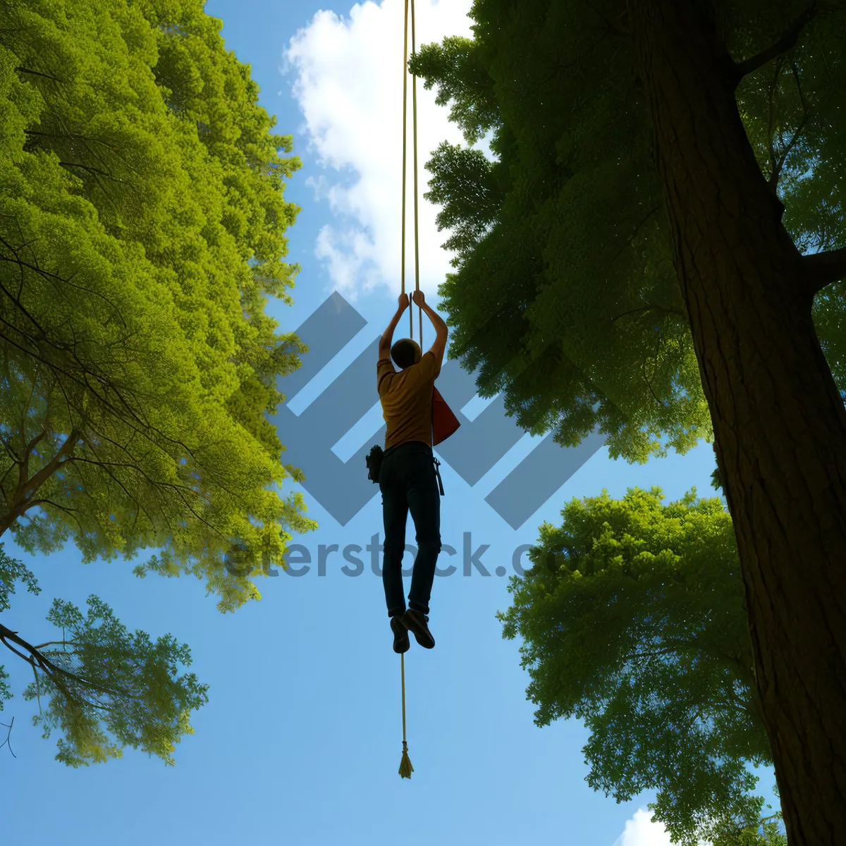 Picture of Outdoor Swing on Tree with Mechanical Device