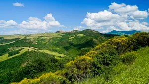 Mountain landscape with trees under cloudy sky.