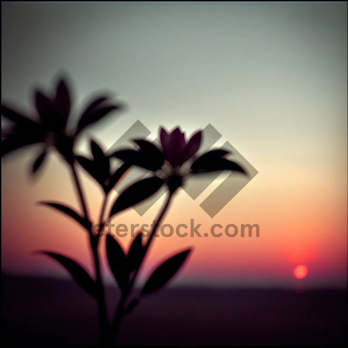 Picture of Bamboo Leaf Silhouette - Floral Art Design