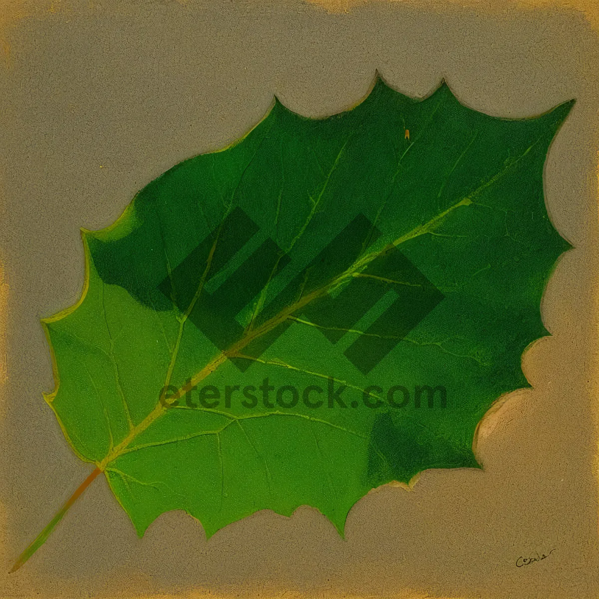 Picture of Vibrant Maple Leaves in a Summer Garden