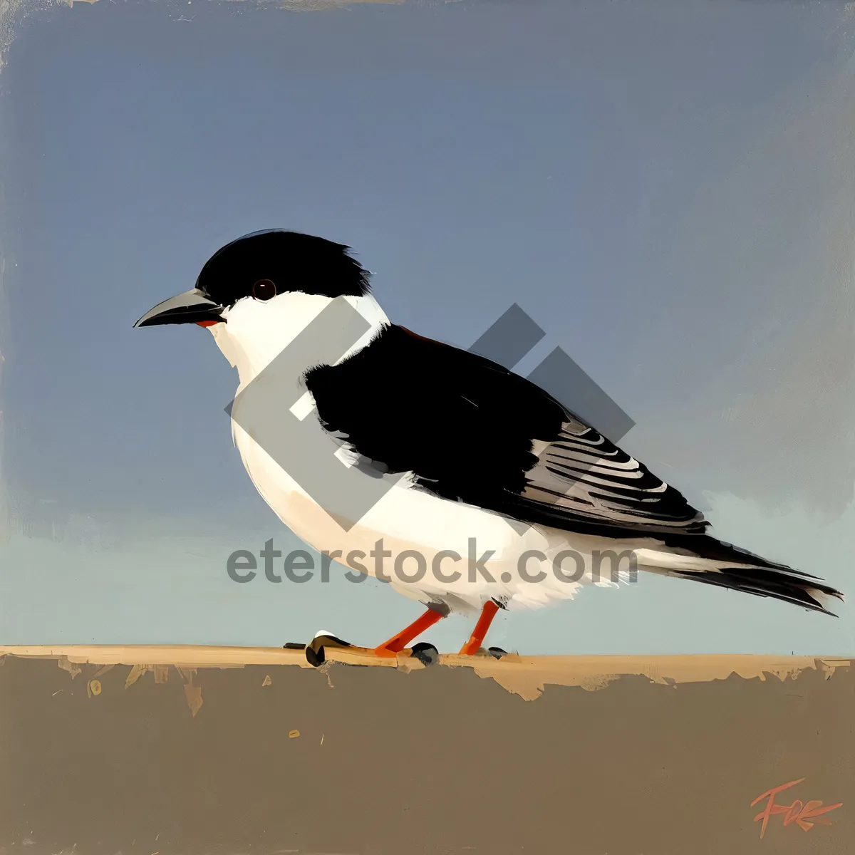 Picture of Wild Seabird with Striking Black Feathers and Beak