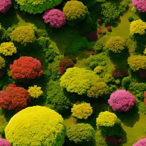 Blooming hydrangea in vibrant garden