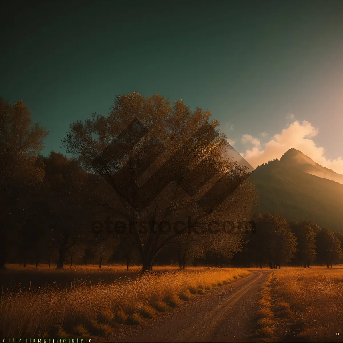 Picture of Sunset Over Rural Landscape with Tree