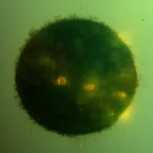 Solar System in Petri Dish - Celestial Science Experiment