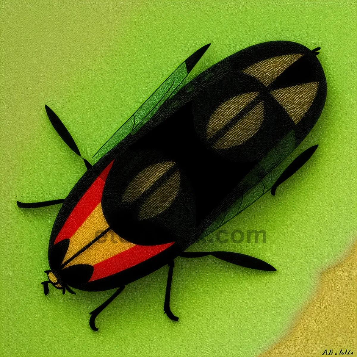 Picture of Colorful Beetle in Garden Close-up Shot