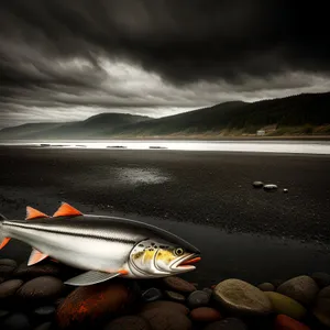 Serenity at Sunset: Coastal Vacation in a Kayak