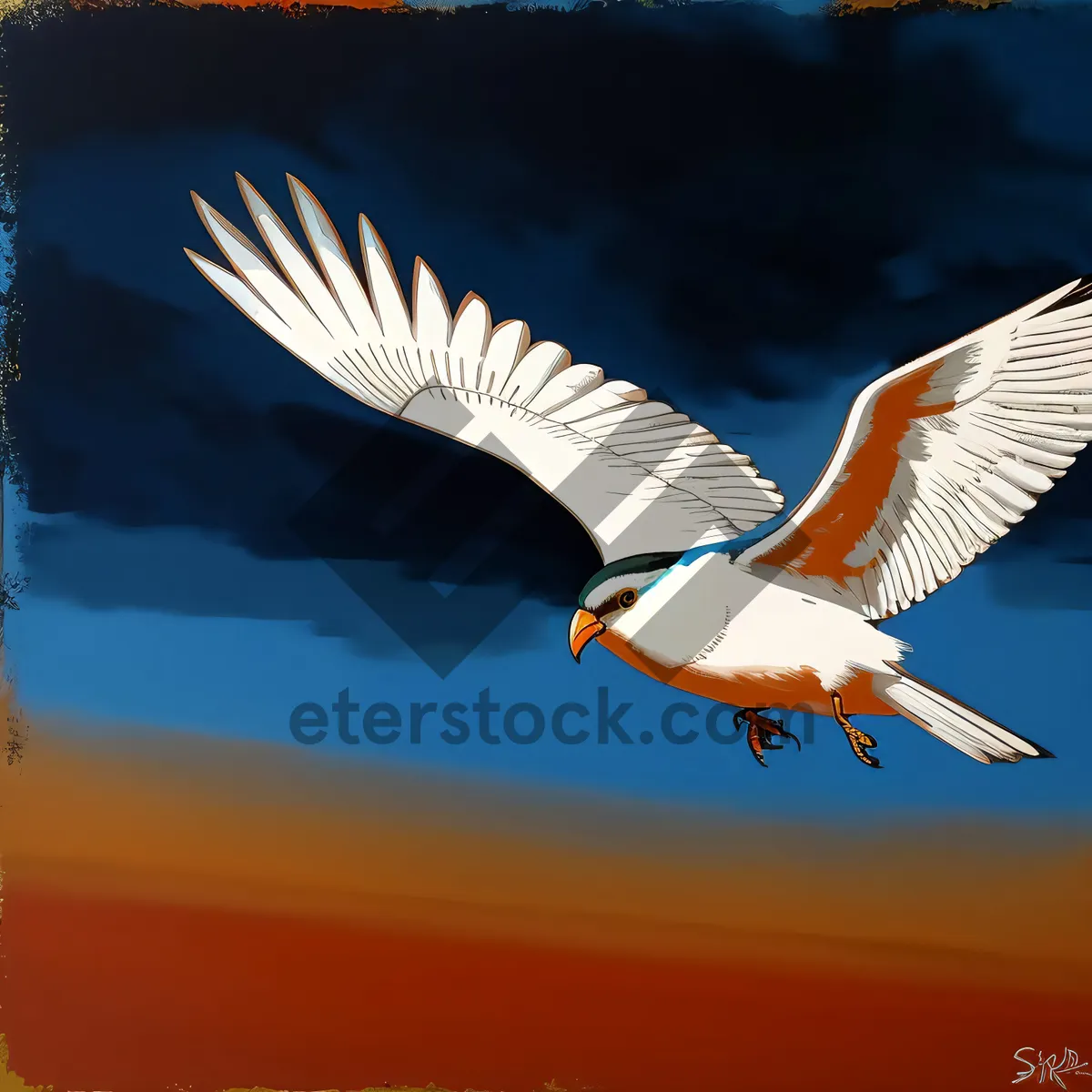 Picture of Coastal Soaring: Wild Seagull in Flight