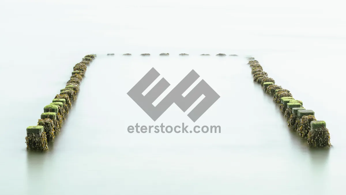 Picture of Close-up of metal screw