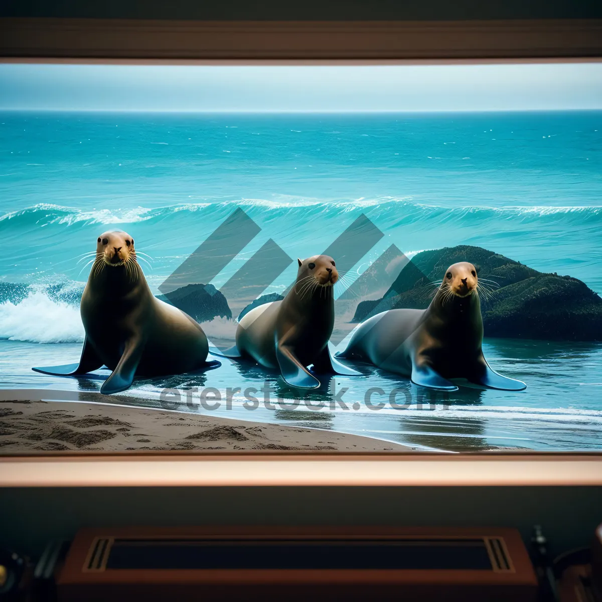 Picture of Playful Sea Lion Splashing in Ocean Waves