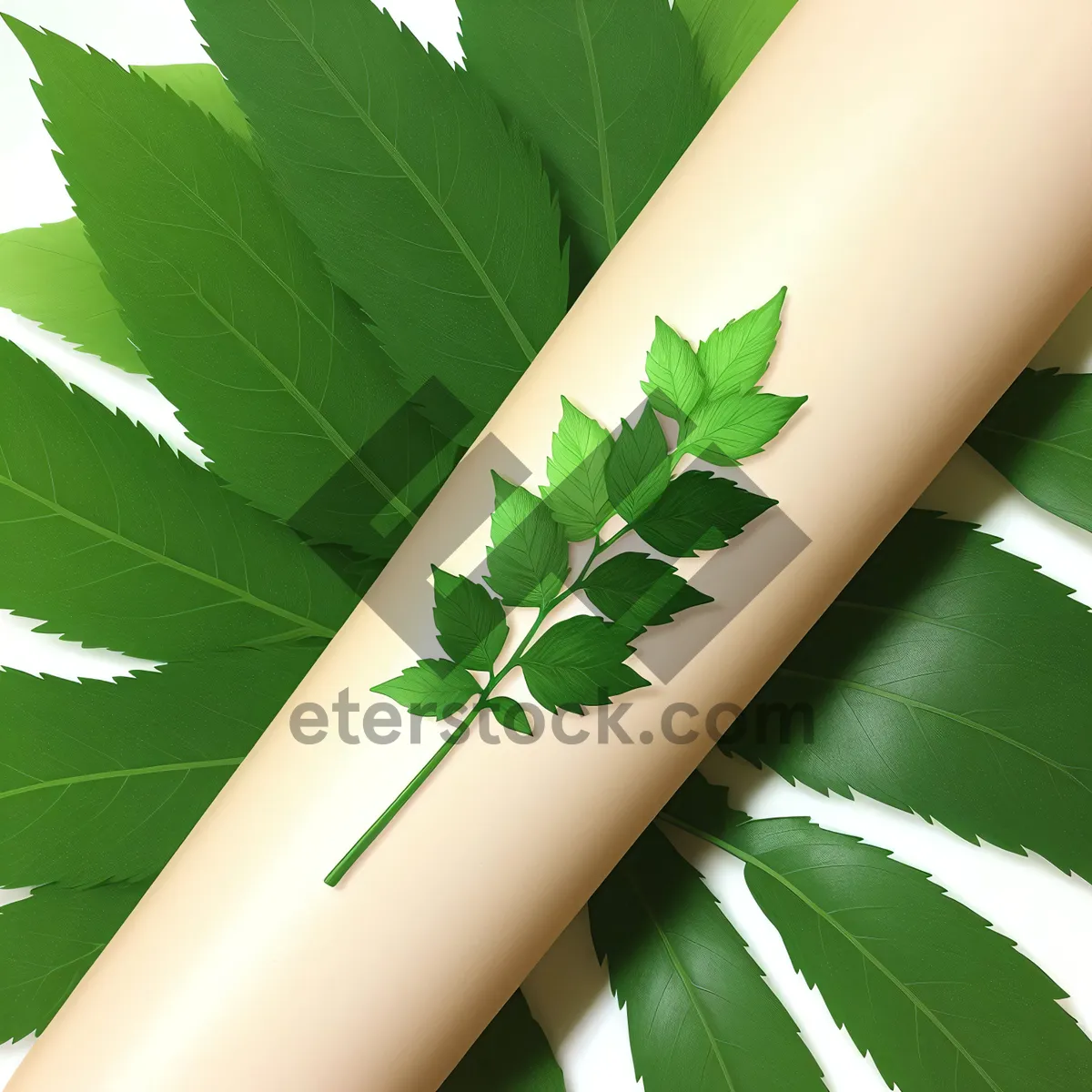 Picture of Banana Leaf Pattern: Vibrant Foliage Design for Digital Wallpaper