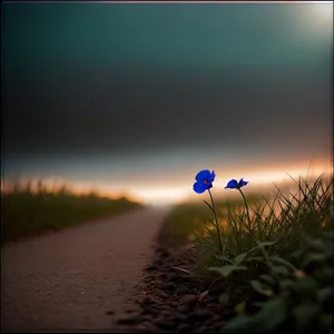 Sunrise Over Rural Farmfield