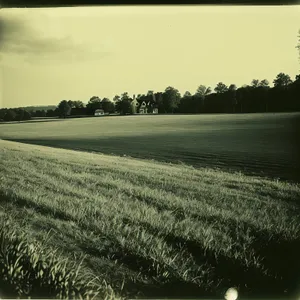 Serene Summer Sky over Rolling Countryside