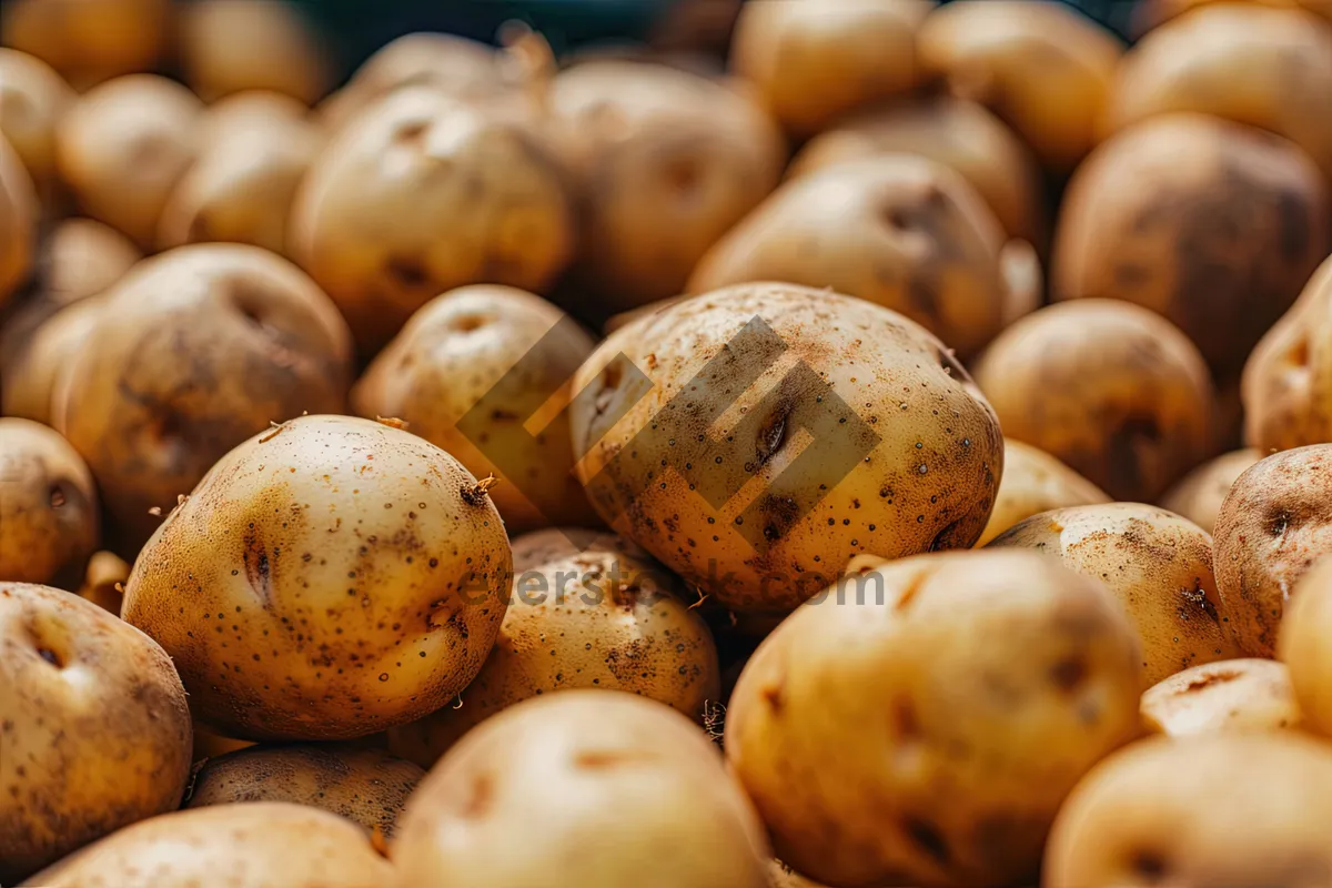 Picture of Fresh and delicious mango and potato salad.