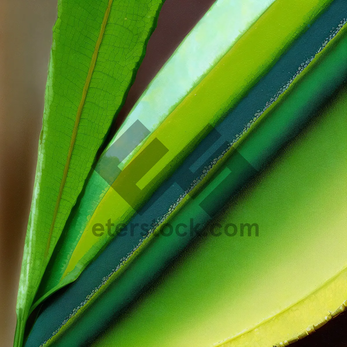 Picture of Vibrant Flax Leaf: Desert Plant with Colorful Generated Lines