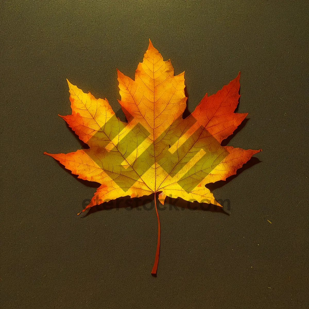 Picture of Vibrant Autumn Maple Leaf Pattern