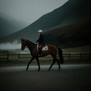 Thoroughbred Stallion Galloping through Rustic Pasture
