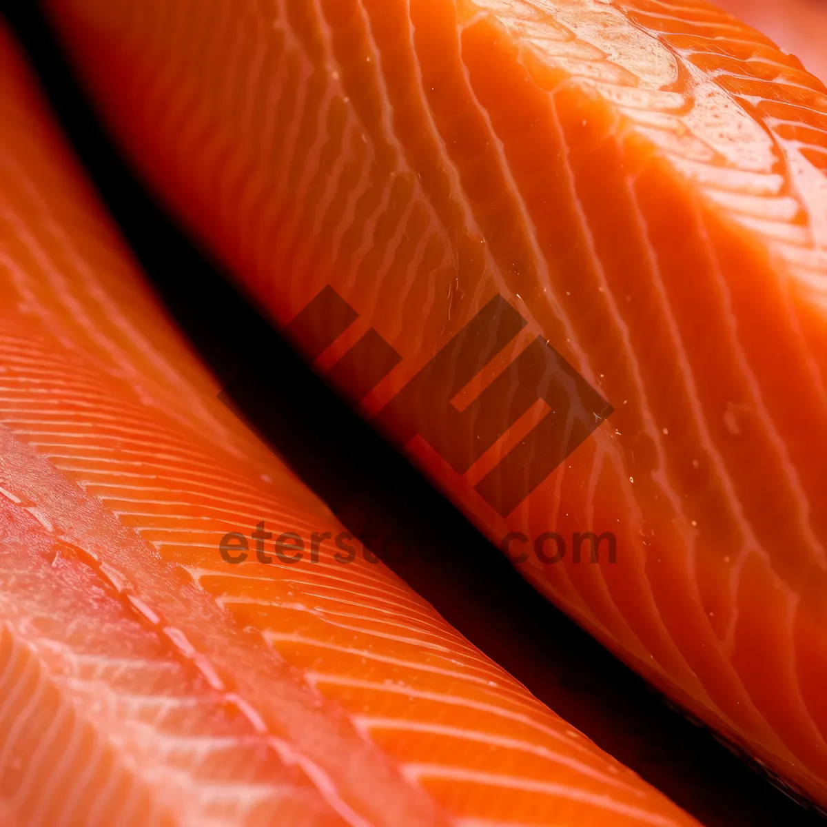 Picture of Fresh Citrus Salmon Fillet - Gourmet Seafood