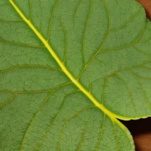 Lively Leafy Arthropod Among Vibrant Spring Foliage.