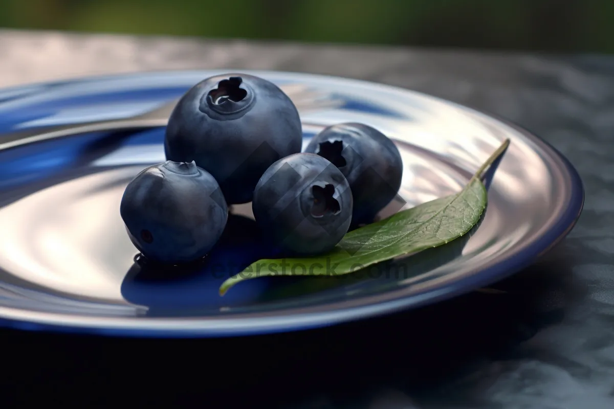 Picture of Organic Blueberry Snack, Sweet and Delicious.