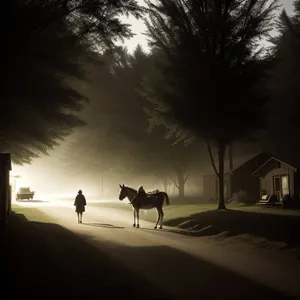 Silhouette Sunset over Beach Resort: Horse-Drawn Carriage by the Ocean