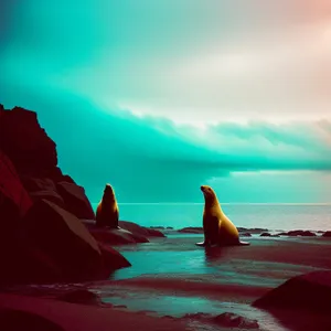 Serene Sunset Over Coastal Waters - Beachscape Paradise