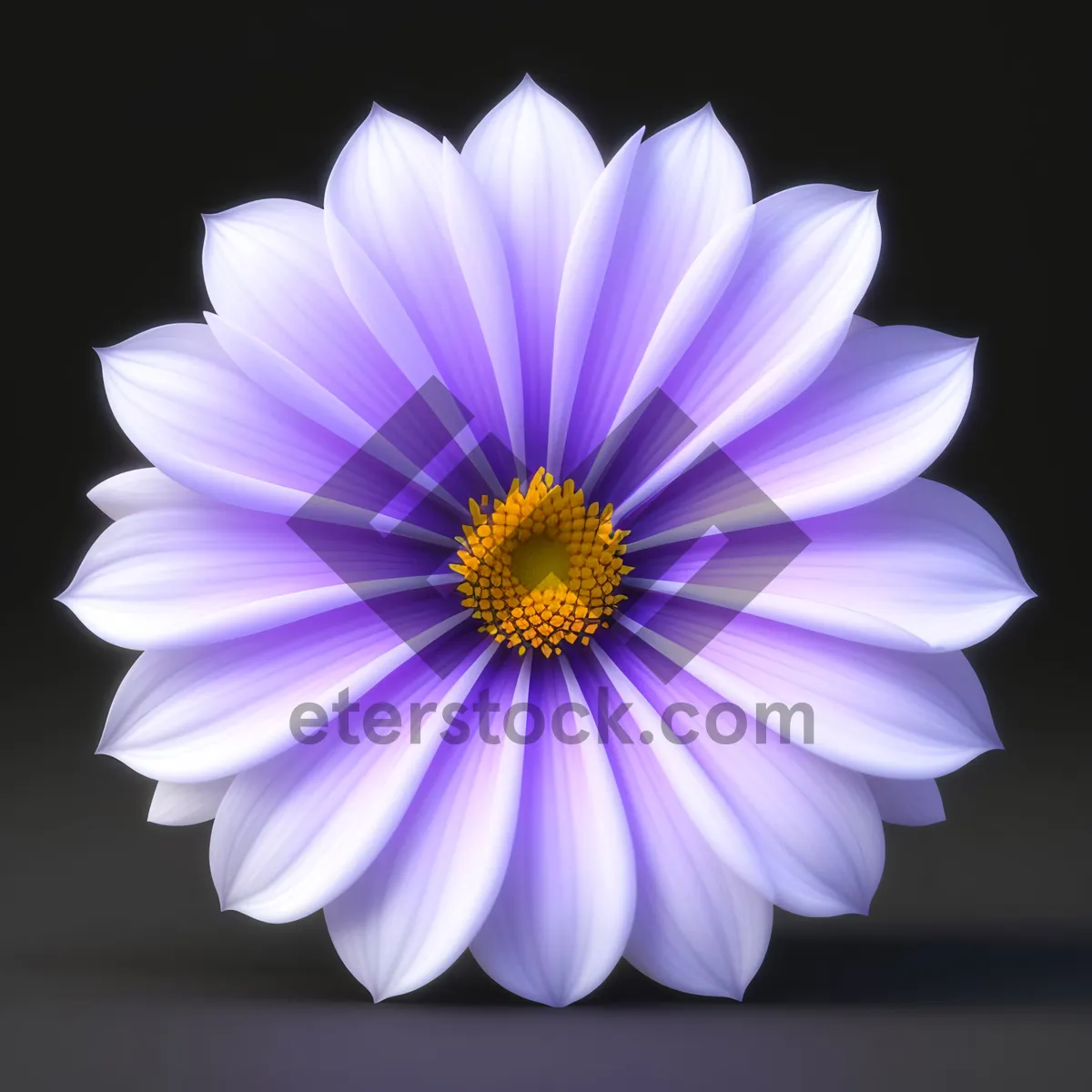 Picture of Vibrant Daisy Bloom in Summer Garden